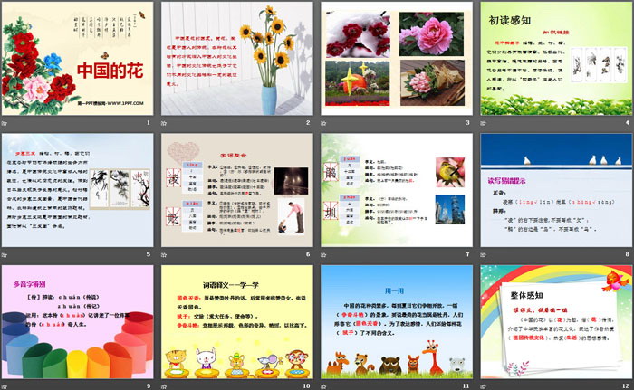 《中国的花》PPT