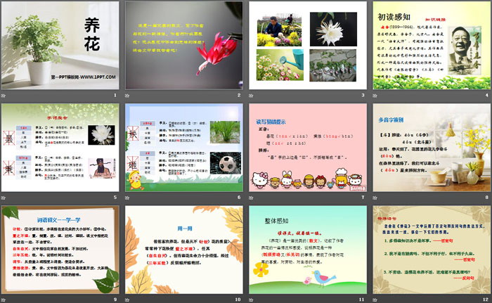 《养花》PPT