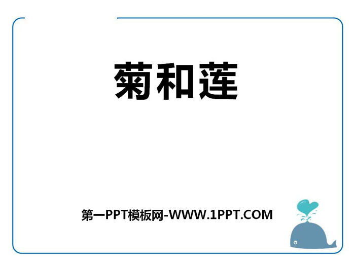 《菊和莲》PPT课件