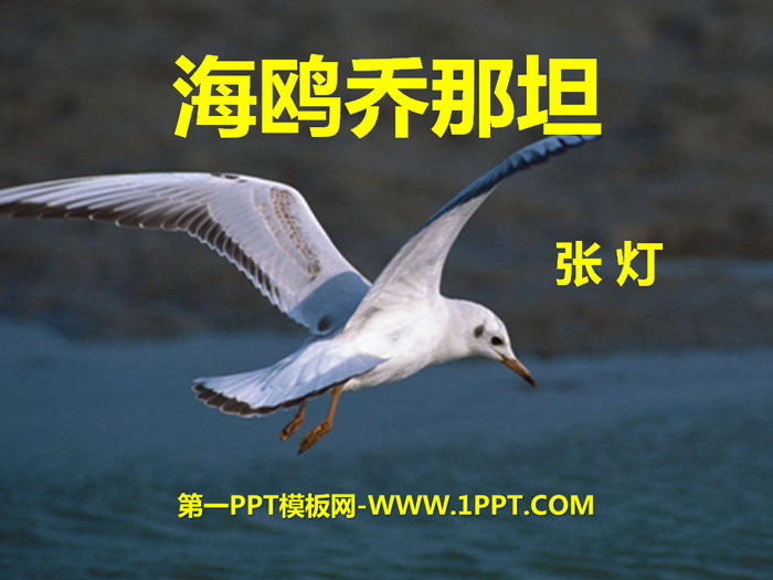 《海鸥乔那坦》PPT