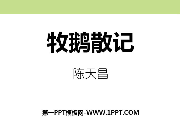 《牧鹅散记》PPT