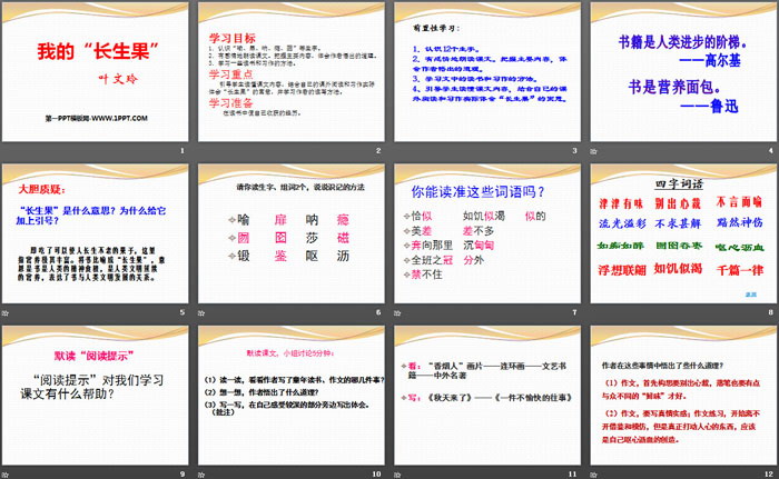 《我的“长生果”》PPT课件