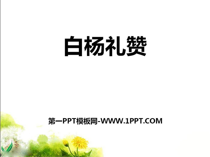 《白杨礼赞》PPT课件下载