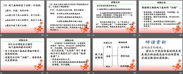 《地下森林断想》PPT