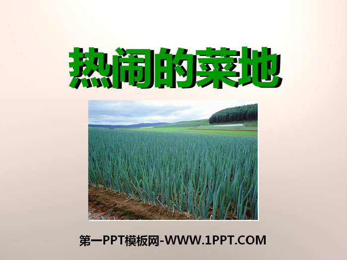 《热闹的菜地》PPT