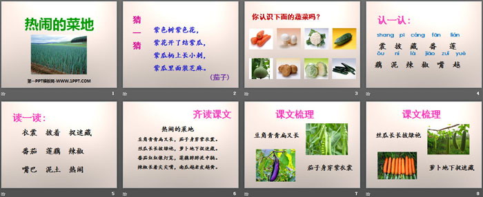 《热闹的菜地》PPT