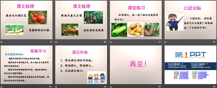 《热闹的菜地》PPT