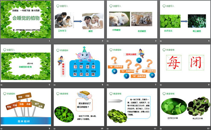 《会睡觉的植物》PPT课件