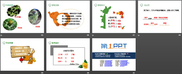 《会睡觉的植物》PPT课件