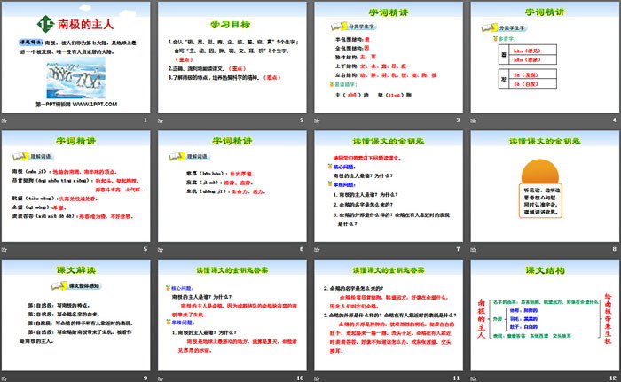 《南极的主人》PPT