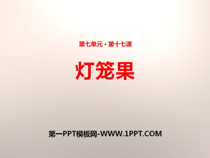 《灯笼果》PPT