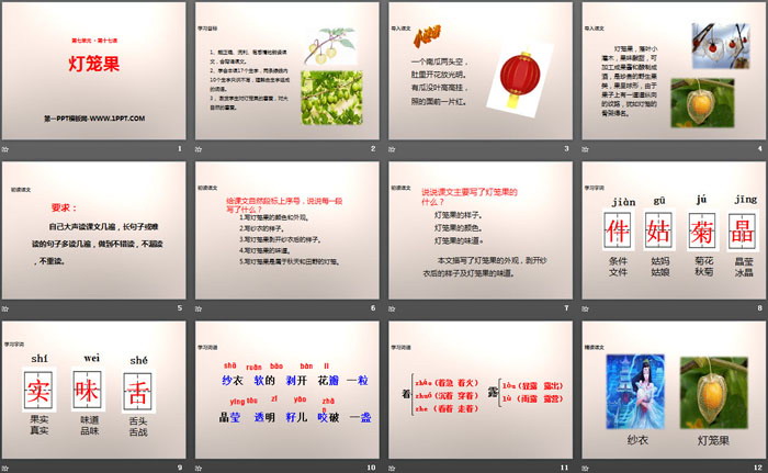 《灯笼果》PPT