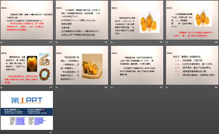 《灯笼果》PPT