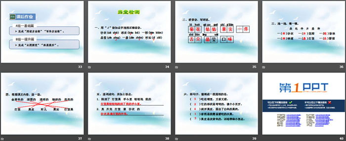 《灯笼果》PPT下载