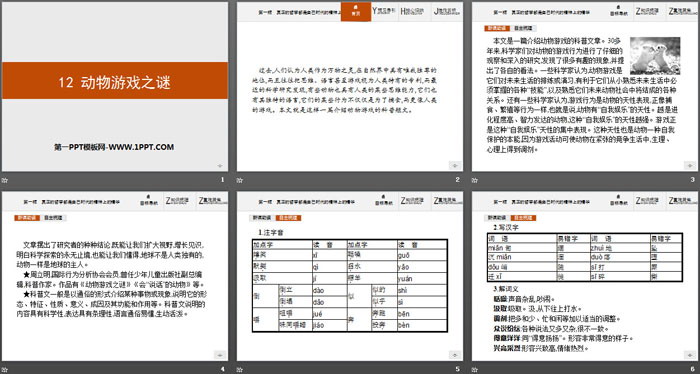 《动物游戏之谜》PPT课件