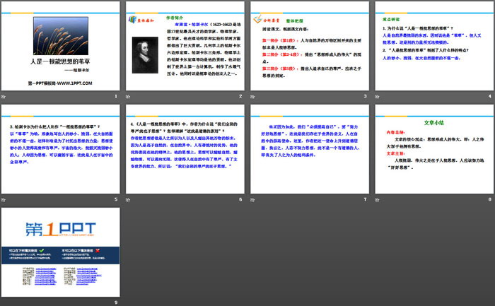 《人是一根能思考的苇草》短文三篇PPT下载