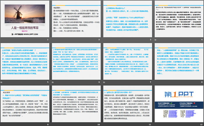 《人是一根能思考的苇草》短文三篇PPT教学课件