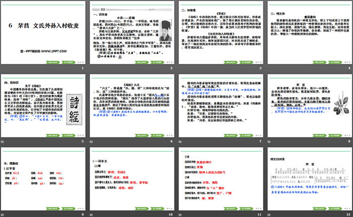 《芣苢》《文氏外孙入村收麦》PPT