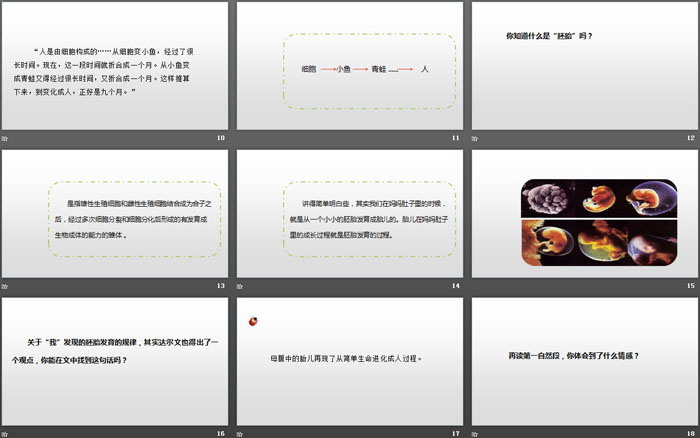 《童年的发现》PPT免费下载