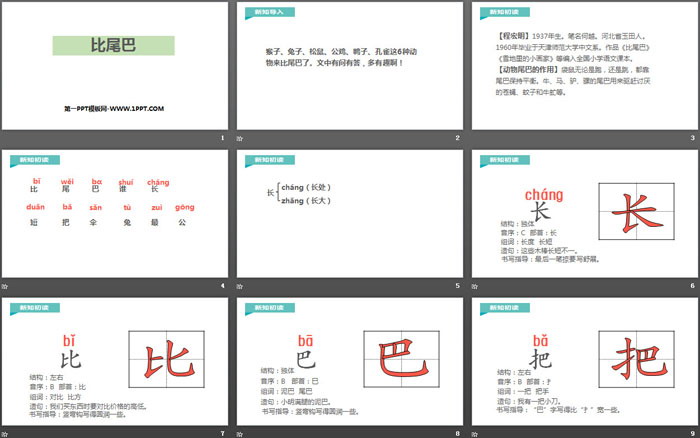 《比尾巴》PPT优质课件