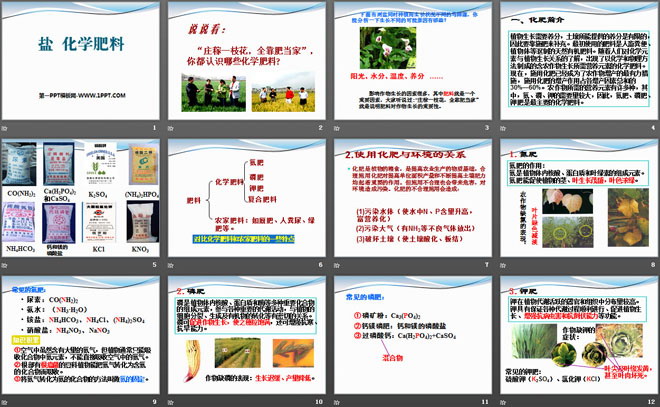 《盐 化学肥料》初始酸、碱和盐PPT课件2