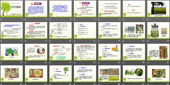 《化学肥料》盐化肥PPT课件2