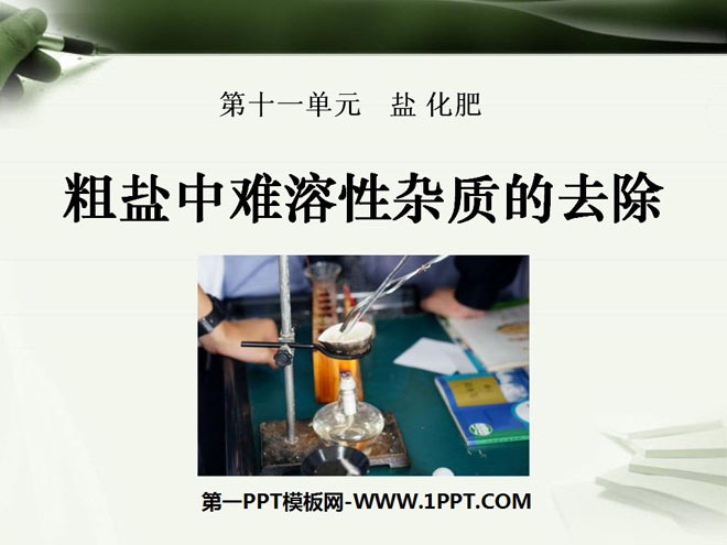 《粗盐中难溶性杂质的去除》盐化肥PPT课件