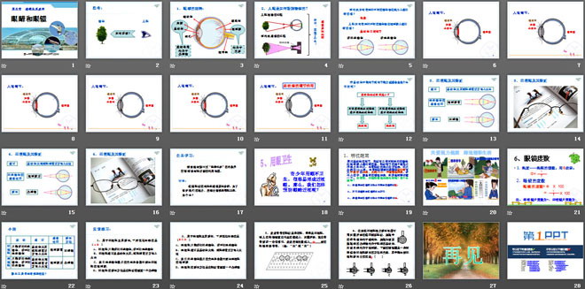 《眼睛和眼镜》透镜及其应用PPT课件