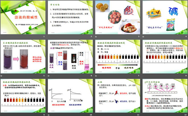 《溶液的酸碱性》常见的酸、碱、盐PPT课件