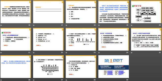 《溶液的酸碱性》常见的酸、碱、盐PPT课件2