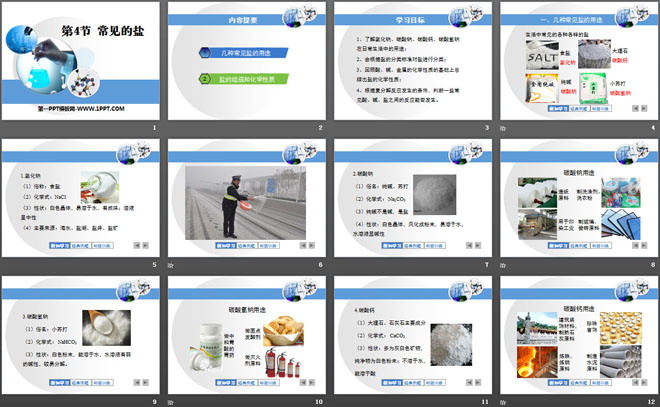 《常用的盐》常见的酸、碱、盐PPT课件