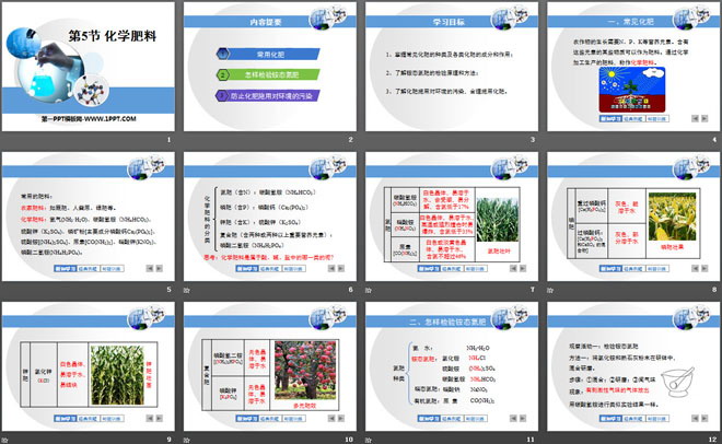 《化学肥料》常见的酸、碱、盐PPT课件2