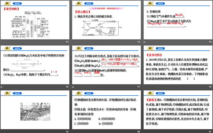 《碳酸钠和碳酸氢钠 焰色试验》钠及其化合物PPT