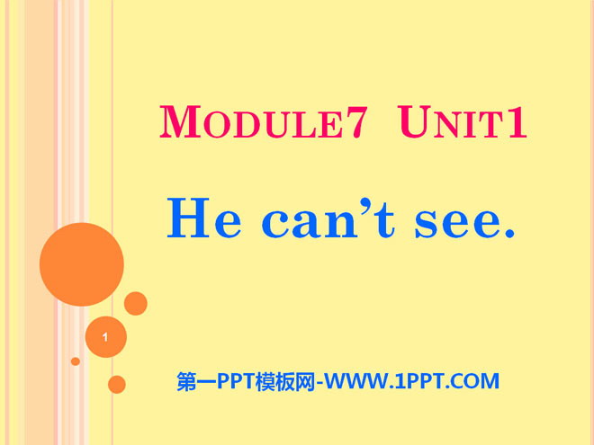 《He can\t see》PPT课件2
