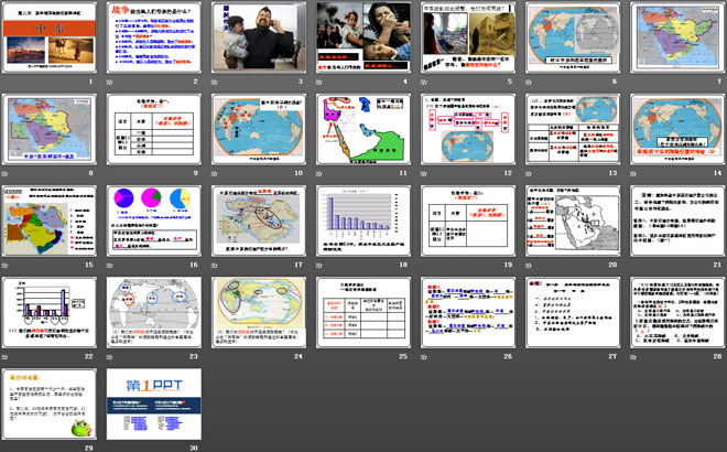 《中东》东半球其他的地区和国家PPT课件4