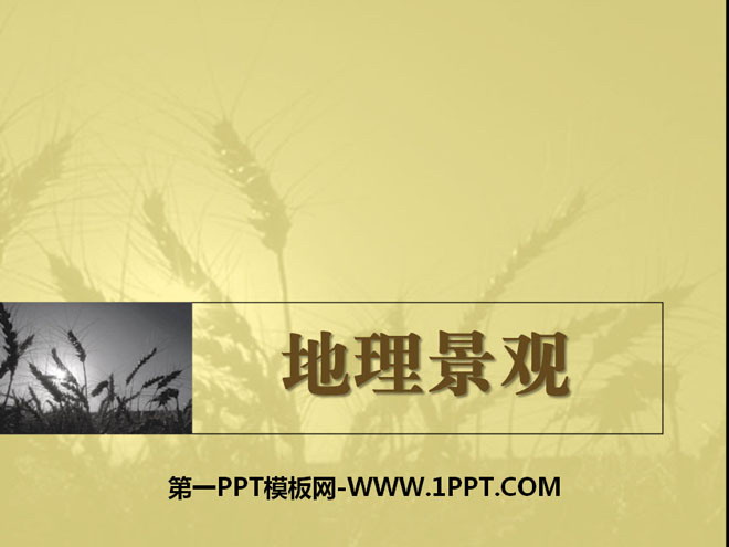 《地理景观》PPT课件