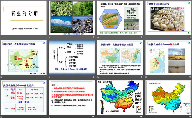 《农业的分布》PPT