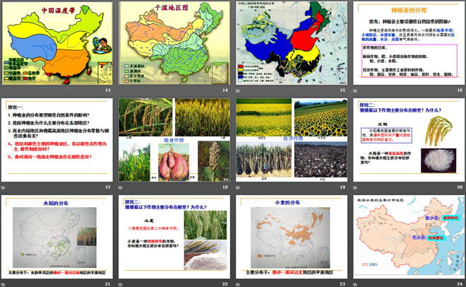 《农业的分布》PPT