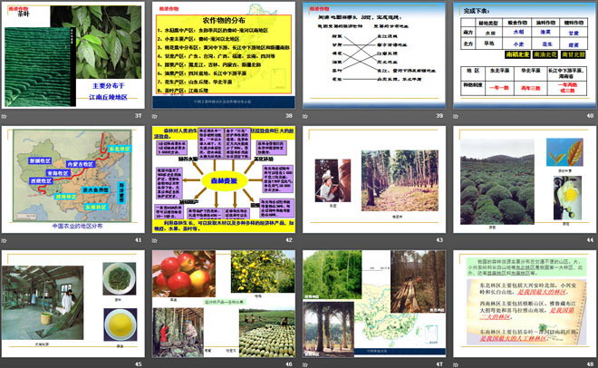 《农业的分布》PPT