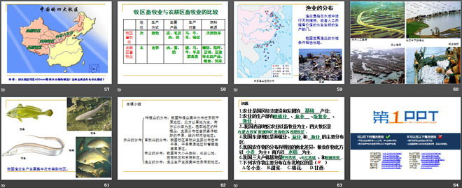 《农业的分布》PPT