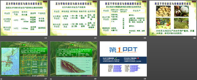 《因地制宜发展农业》PPT