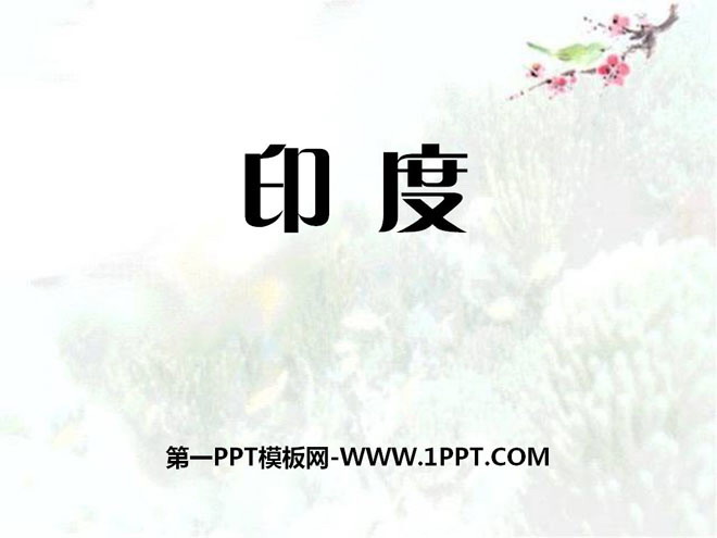 《印度》PPT下载