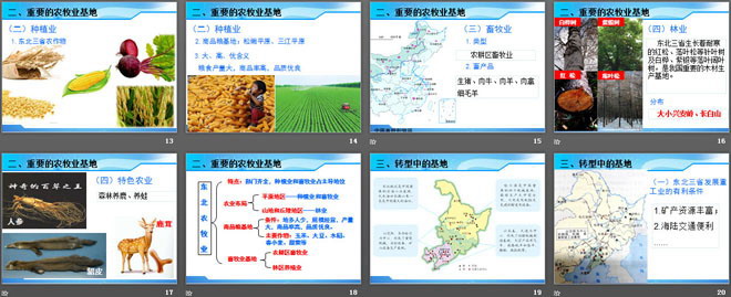 《东北三省》PPT免费下载