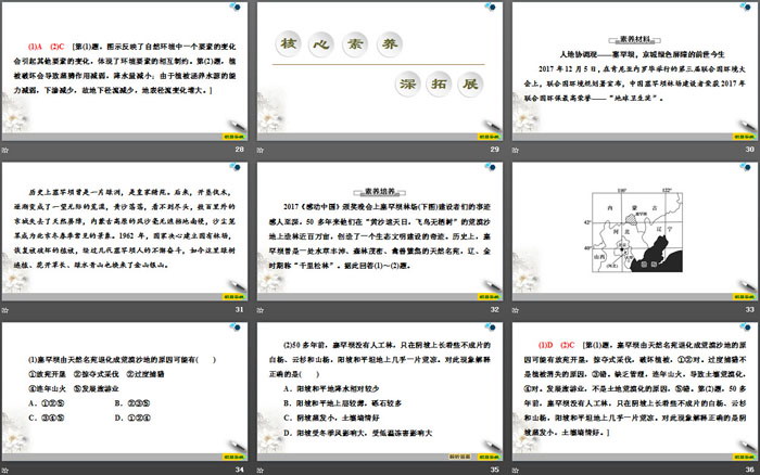 《植被》植被与土壤PPT