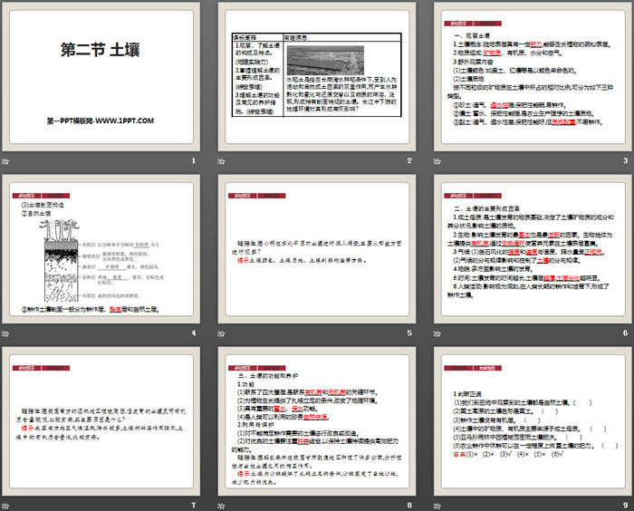 《土壤》植被与土壤PPT课件