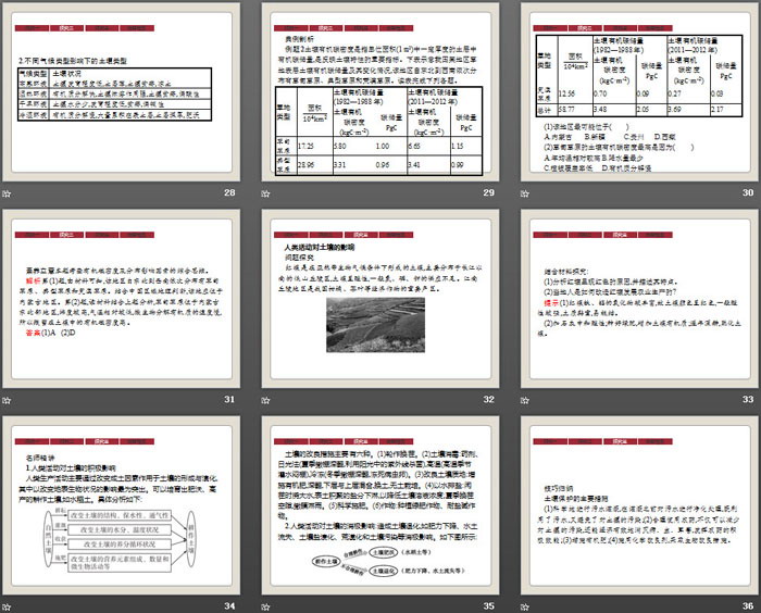 《土壤》植被与土壤PPT课件