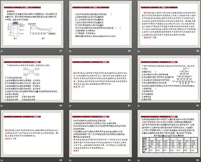 《土壤》植被与土壤PPT课件