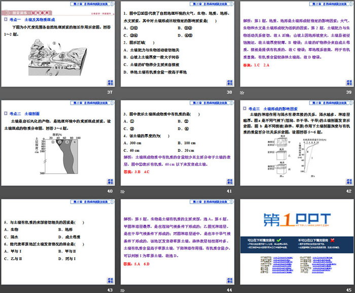 《土壤的主要形成因素》自然地理要素及现象PPT课件