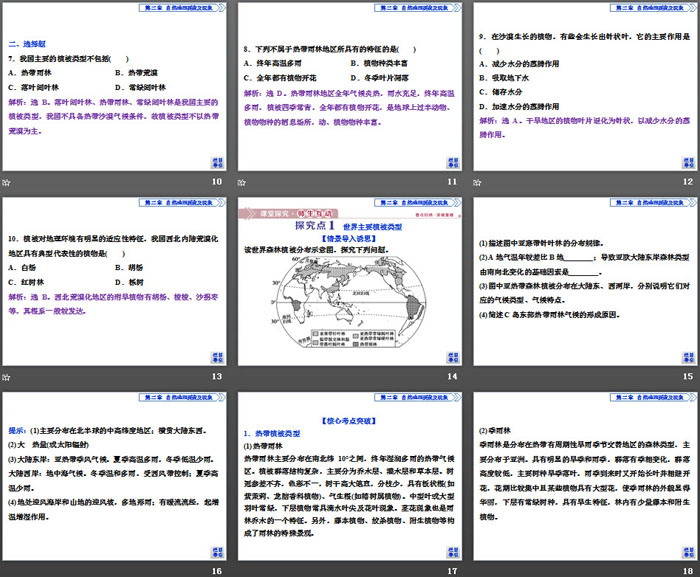 《植被与自然环境的关系》自然地理要素及现象PPT课件