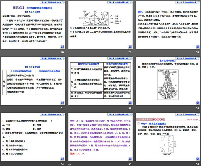 《植被与自然环境的关系》自然地理要素及现象PPT课件